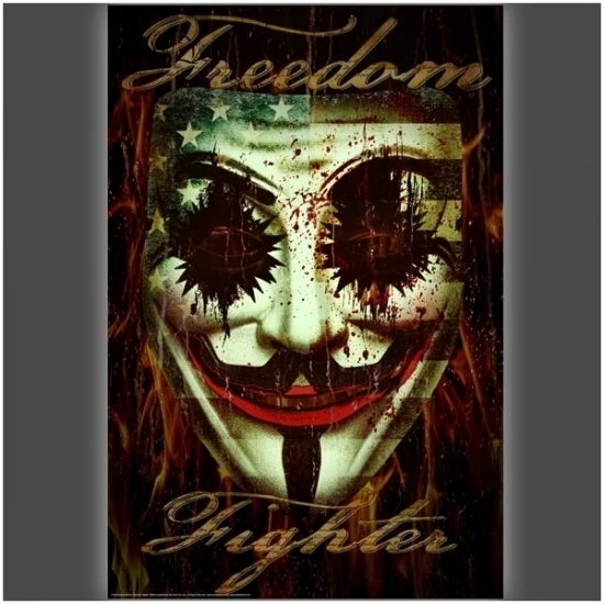 Freedom Fighter Laminated Poster by Daveed Benito (24 x 36)