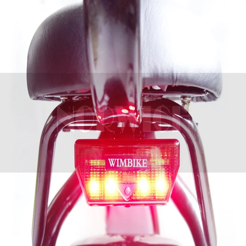 Citycoco Electric Scooter LED Lights Wide Tires Automatic Induction