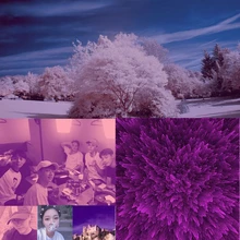 HTB1MeRaNVXXXXXTXpXXq6xXFXXXp
