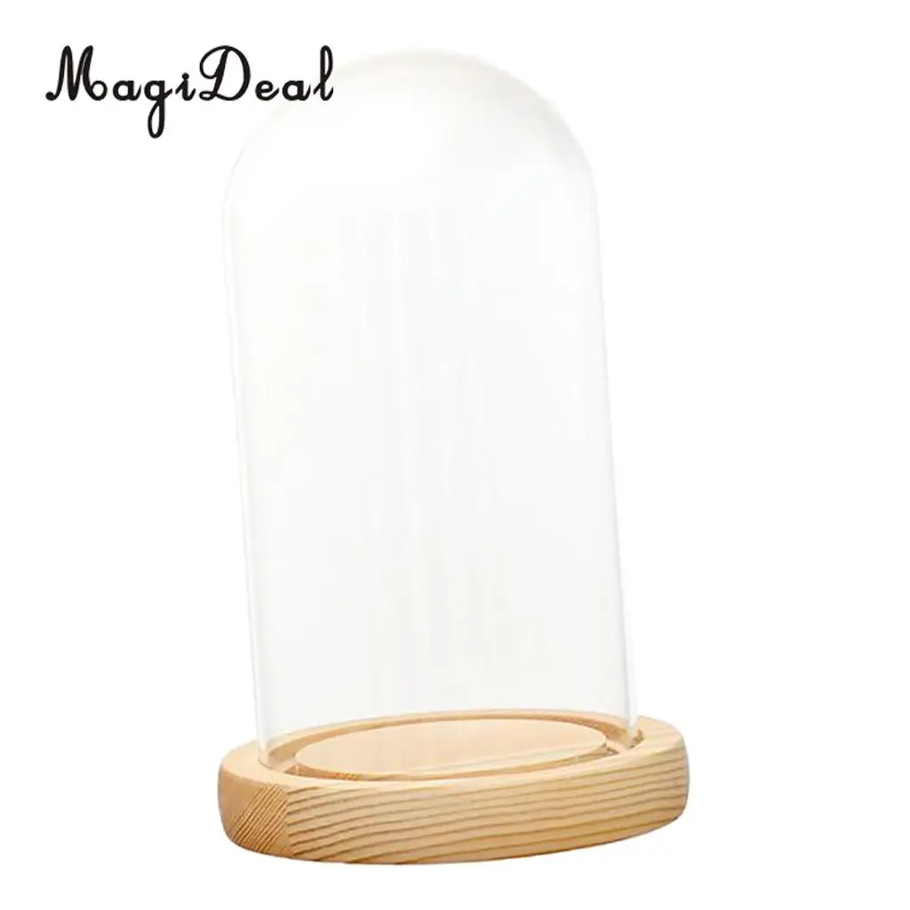 MagiDeal Mini Clear Glass Hemisphere Cloche Cover Dome Light Up Cabochon Bell Succulent Terrariums Air Plant Covers With Cork	