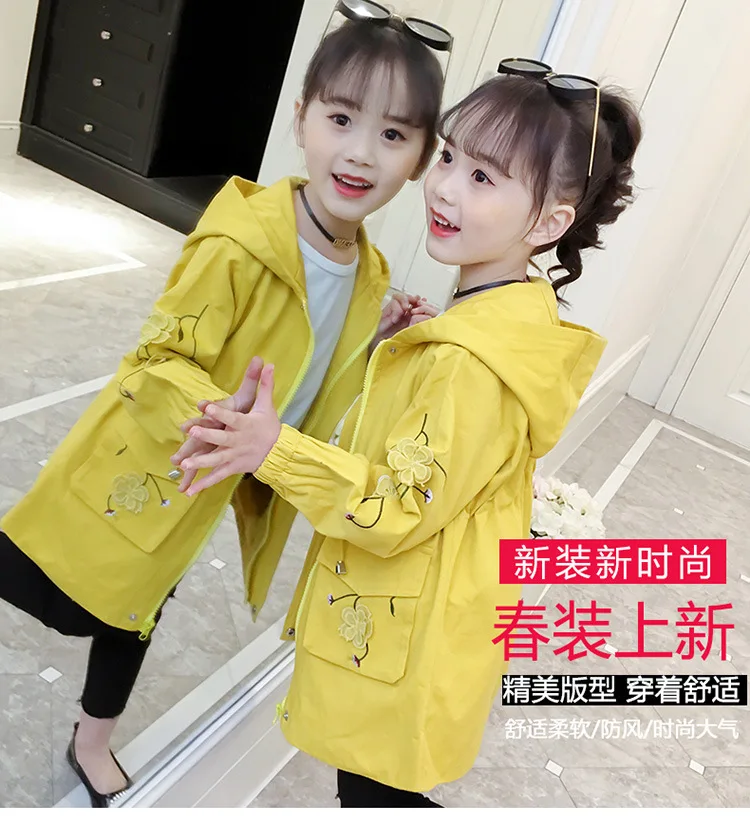 复件 360截图20190331200433546