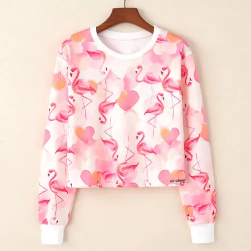 

2017 Winter Autumn Women Pullovers Sweatshirt Flamingo Printed Kawaii Harajuku Long Sleeve Thin Loose Female Hoodies Tops Shirts