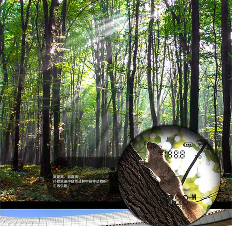 QQ20180519104749