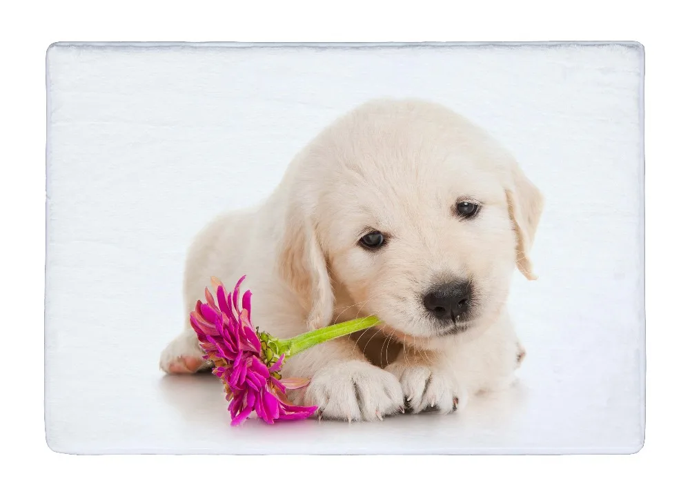 Floor Mat Golden Retriever Puppy Dog Pet with Flower Print Non slip