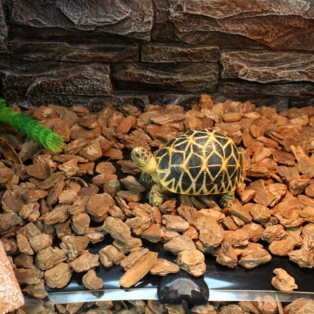 Top Quality Heat Mat Reptile Brooder Incubator Pet Heating Pad Brew EU Plug 7W 14W 20W 28W Oct23 2