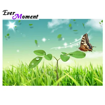 

Ever Moment Diamond Painting Handmade Scenery Butterfly Grass Picture Of Rhinestone Square Drill Diamond Embroidery 3F904