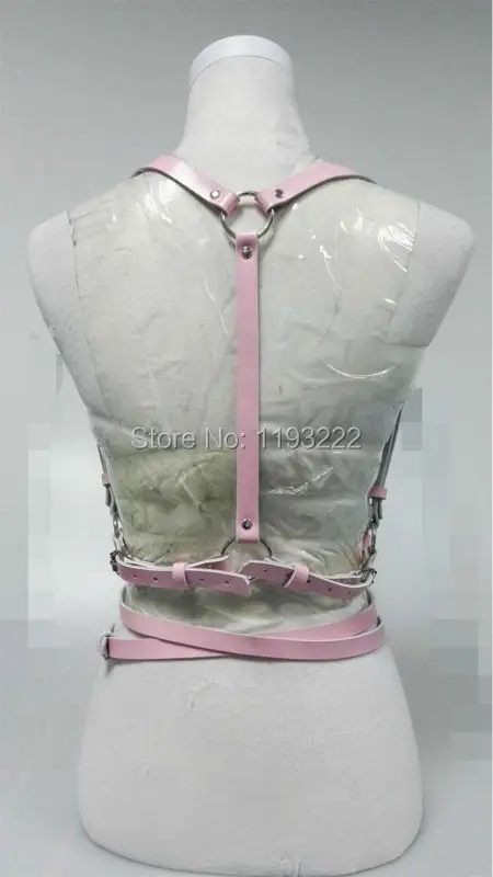 pINK2_