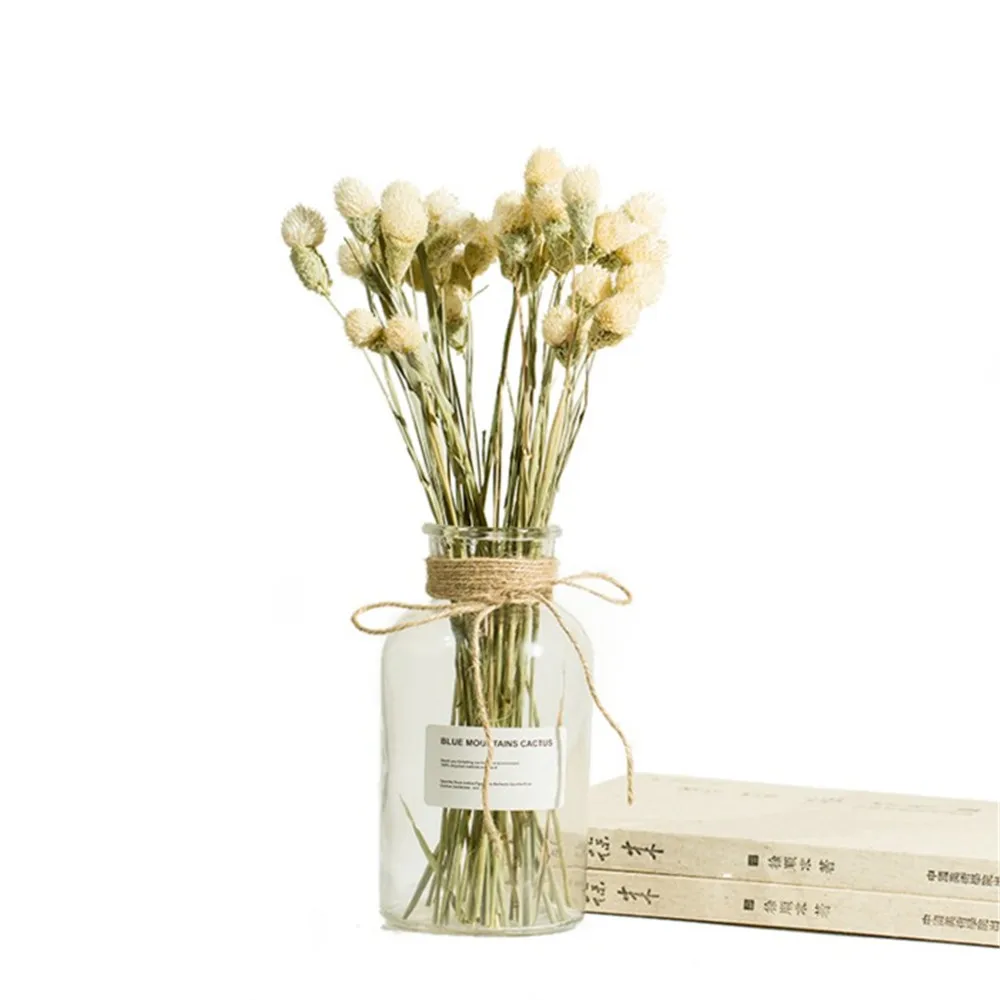 

Transparent Glass Vases for Plant Home Small Hydroponic Plant Glass Bottle Flower Basket Nordic Little Fresh Living Room Decor