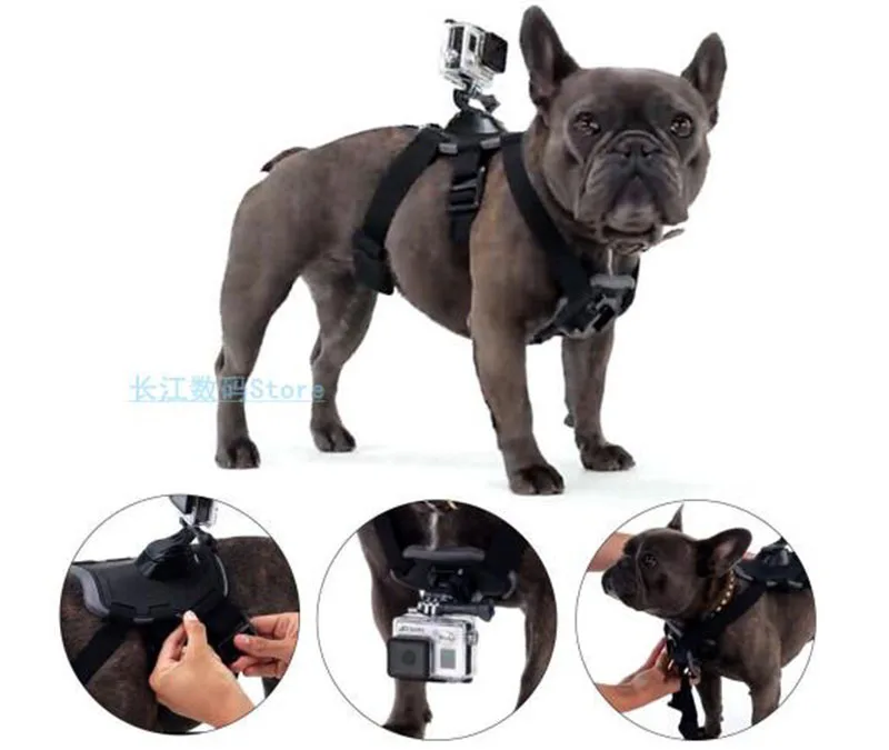 Нагрудный ремень для домашних питомцев нагрудный Gopro Hero 5 4 3 SJCAM Спортивная