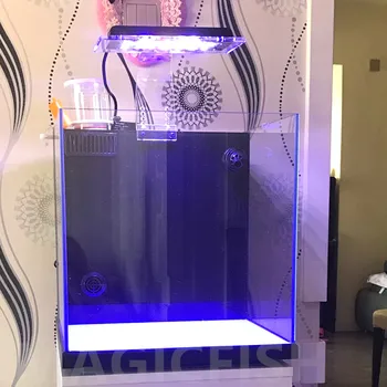

ZETLIGHT ZA-1201L ZA1201 ZA1201WIFI LED light coral grow marine reef tank white blue aquarium fish tank SPS LPS color grow