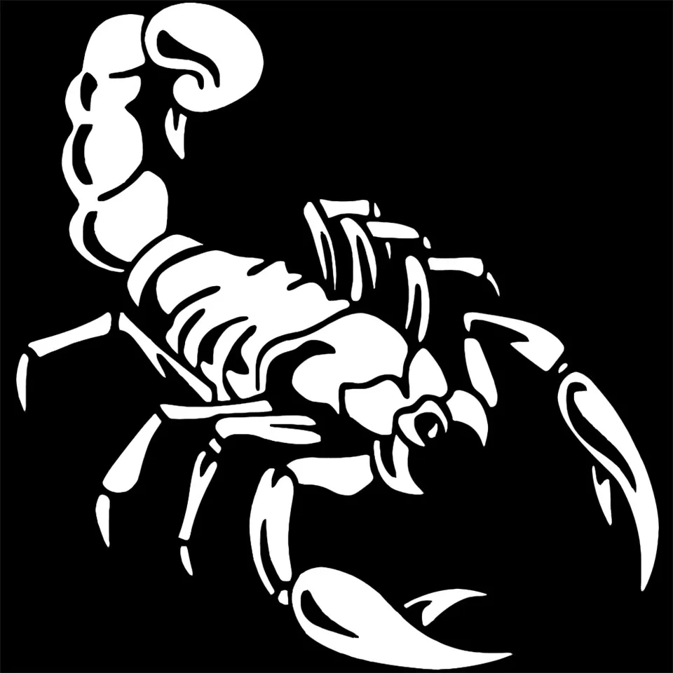 Car Styling Stickers 3D Cute Scorpion Motorcycle Car Stickers Funny Car Stickers For W VW Audi Ford Toyota  (3)