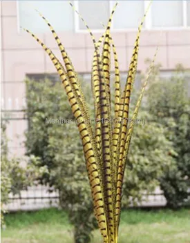 

50 pcs yellow color pheasant tail feather 90-100 CM 36-40 inch lateral tail markings Wittenbuik chicken feathers