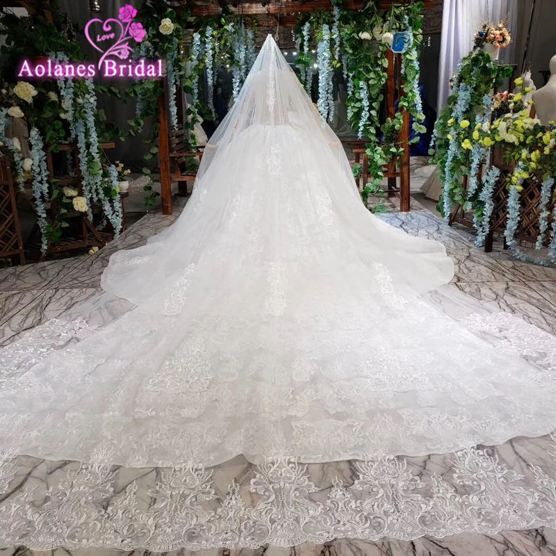 

2019 New White Bridal Dresses Lace Wedding Dress Ball Gown Custom Size Plus Size Wedding Gowns With Veils Luxury Wedding Dress