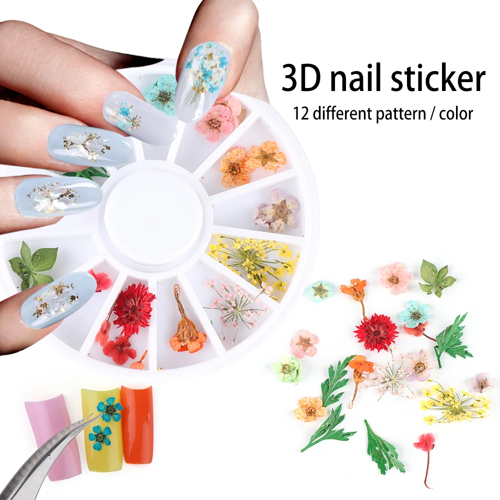 24 шт./колесо DIY 3D смешанные Натуральные сушеные цветы прессованный цветок лист наклейки для дизайна ногтей декоративные наклейки для маникюра