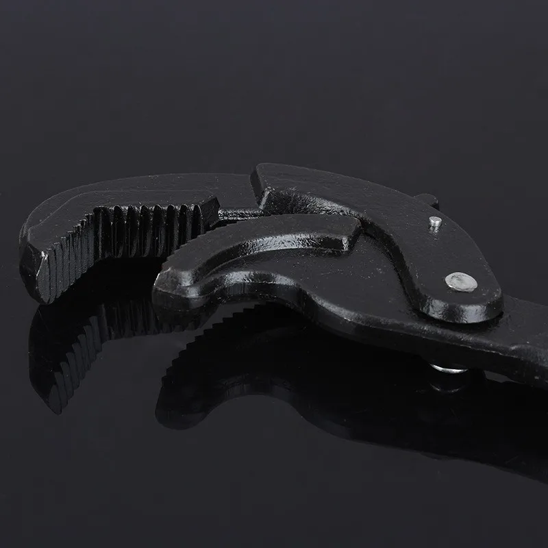 3956662105_477982914