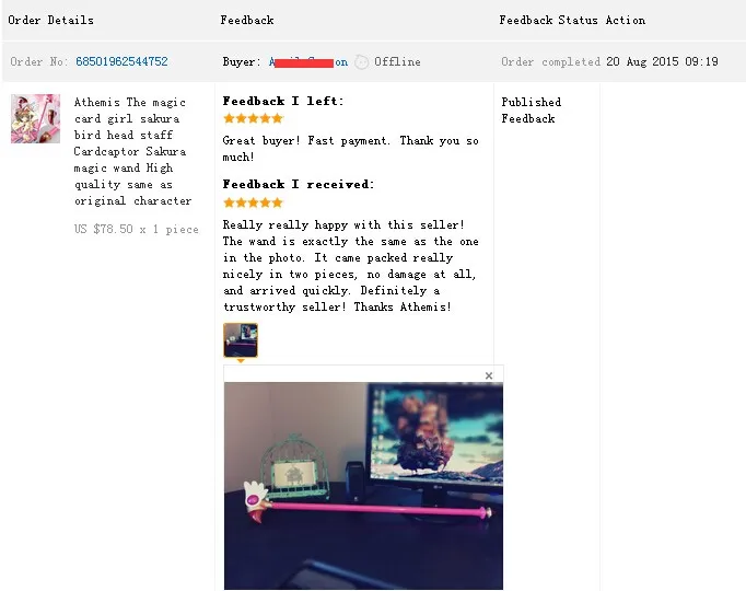 bird feedback