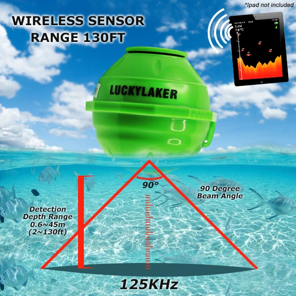FF-916-sensor