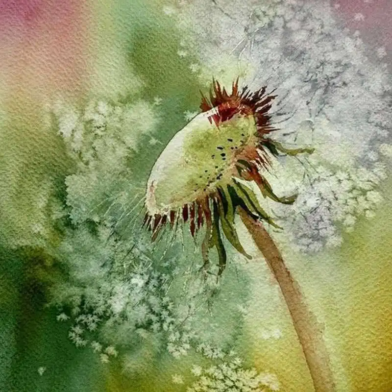 TB2d1UilC7PL1JjSZFHXXcciXXa_!!1978306747