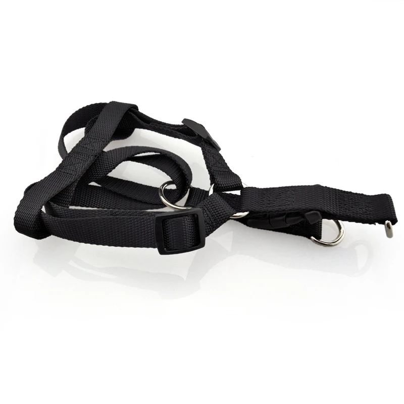 dog harness (15)