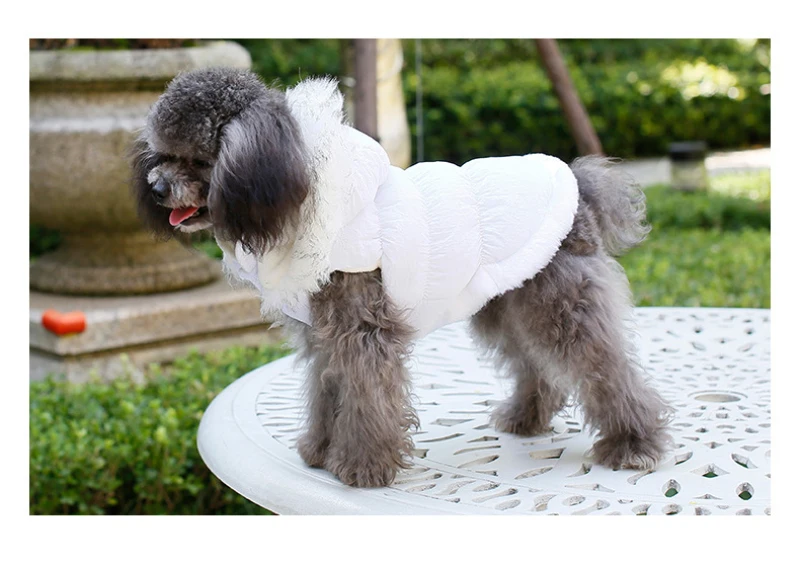 Пуховик для собак зимняя одежда для собак пальто Высокое качество Одежда для собак верхняя одежда Французский костюм для бульдога одежда