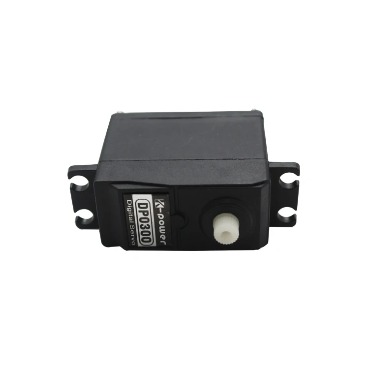 DP03004