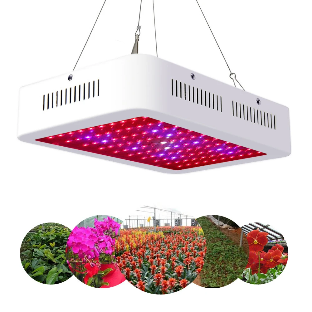 3 W 54 W 300 W 1000 W Watt DEL Plant Grow Light Kits Panneau Lampe Hydroponique légumes NEUF 