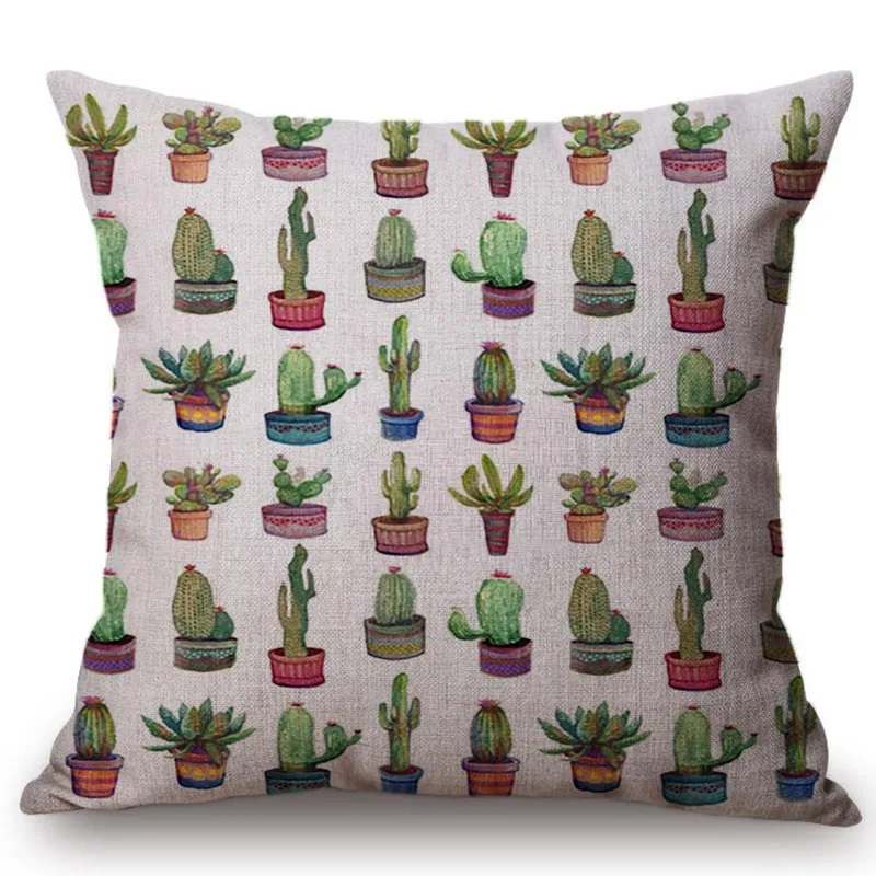 cactus-in-pockets-canvas 