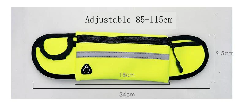 pet leash 1