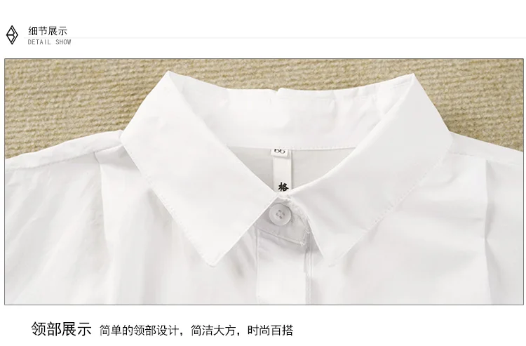 xijie7