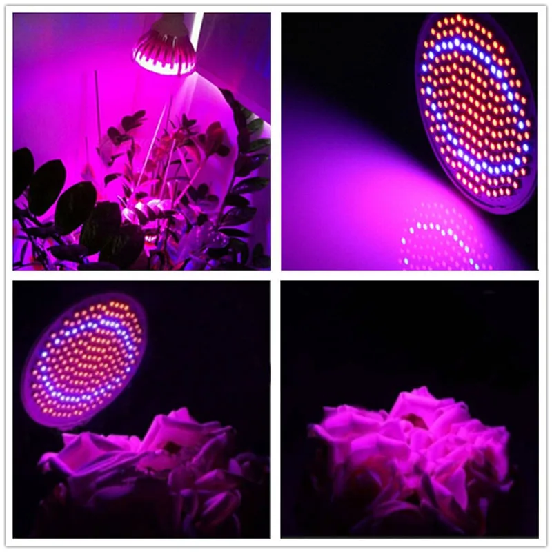 Phyto лампа полный спектр LED растительный свет E27 растительная с зажимом для теплицы