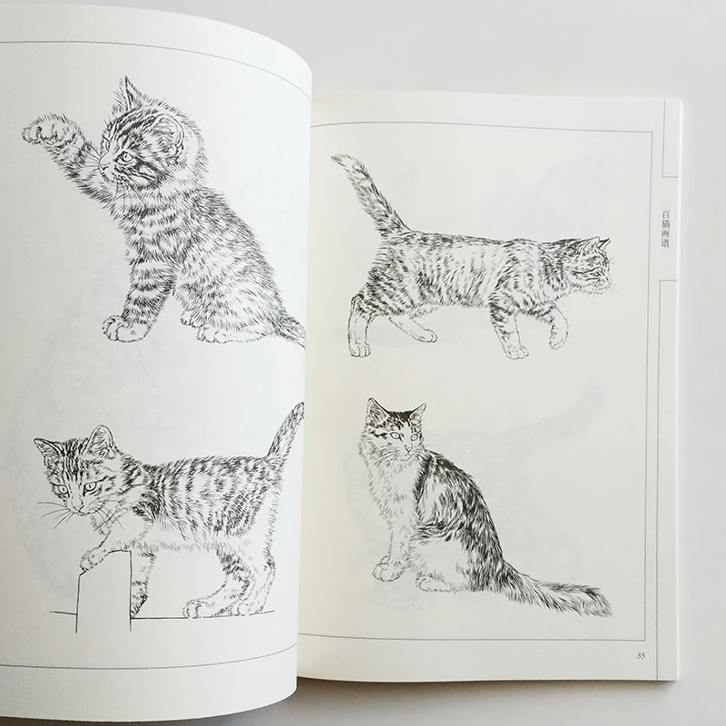 94 страницы сто картина с кошками коллекция художественная книга раскраска для взрослых/Дети Релаксация и антистрессовая живопись книга