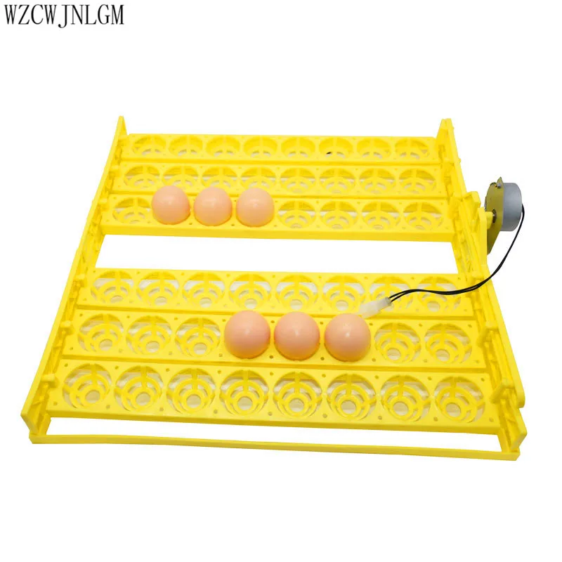 ڵ  ȭ,  Ʈ, ο ȭ , ݷ ǰ, 2 Ʈ, 48 , 110v, 220v 