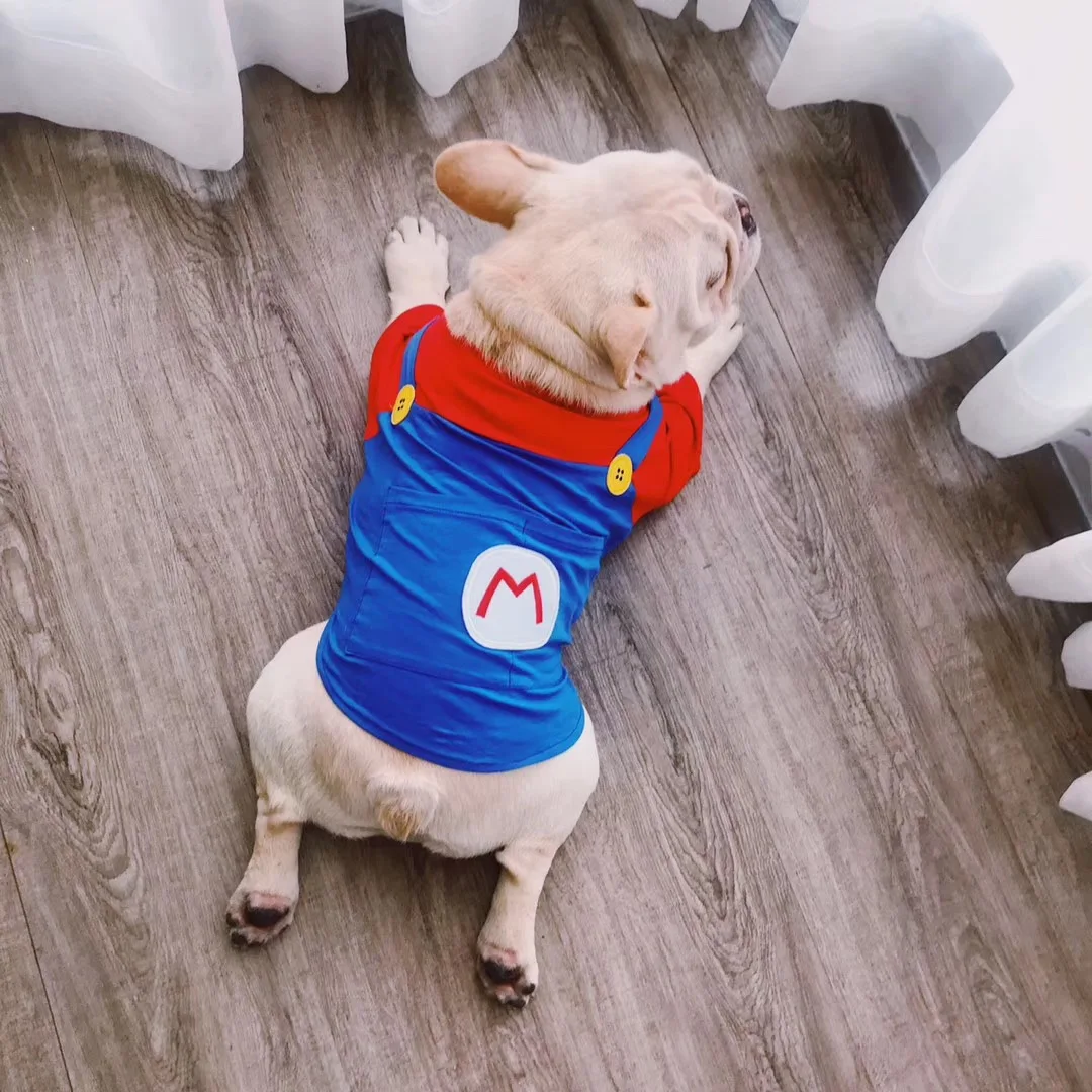 

Cartoon Style French Bulldog Summer Cool Tshirt Pug Cotton Dress Pet Dog Clothes for Small Dogs Puppy Clothing Couples Dress