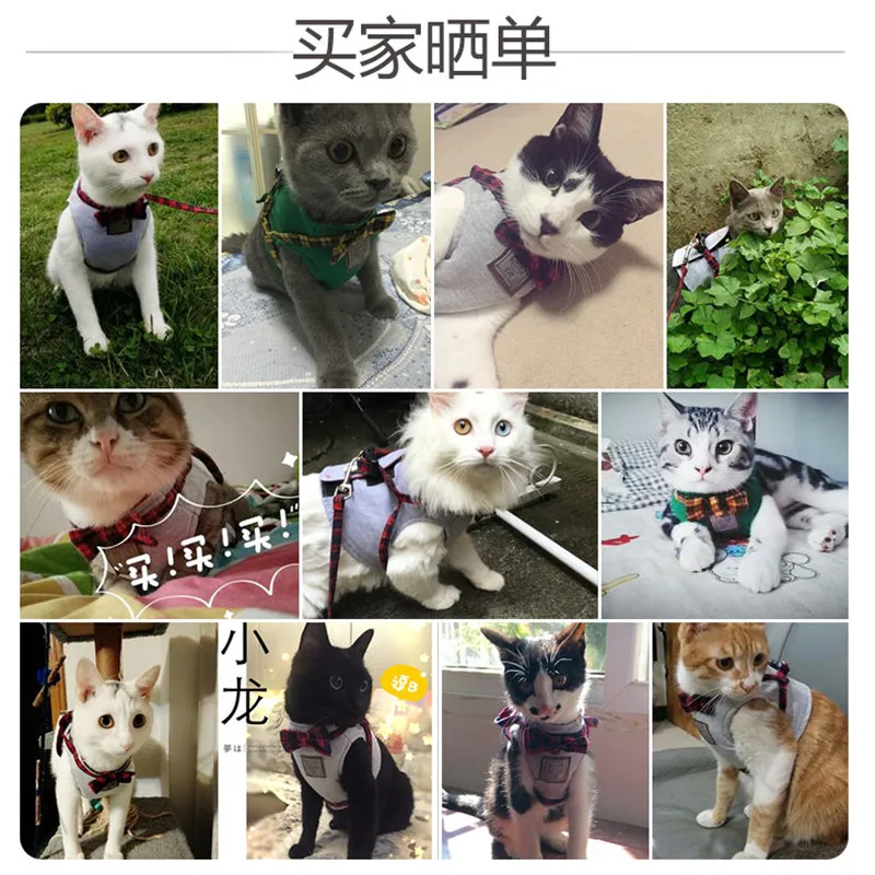 Cat Collars & Leads23