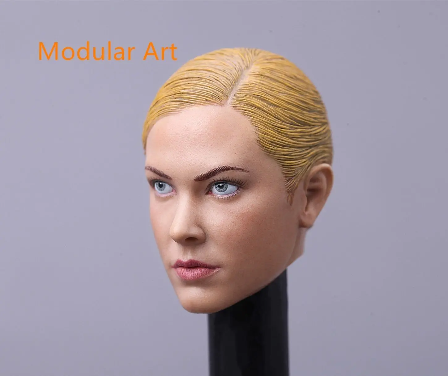 IN STOCK 1//6 Kristanna Loken head sculpt 2.0 Terminator 3 T-X for HotToys Phicen