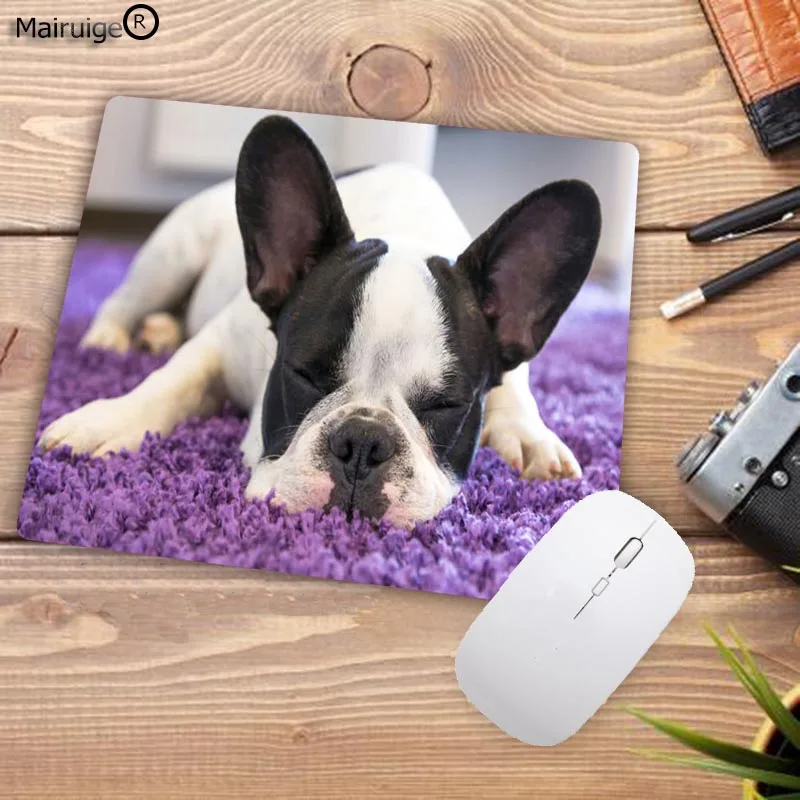 163puppy-sleeping-160118