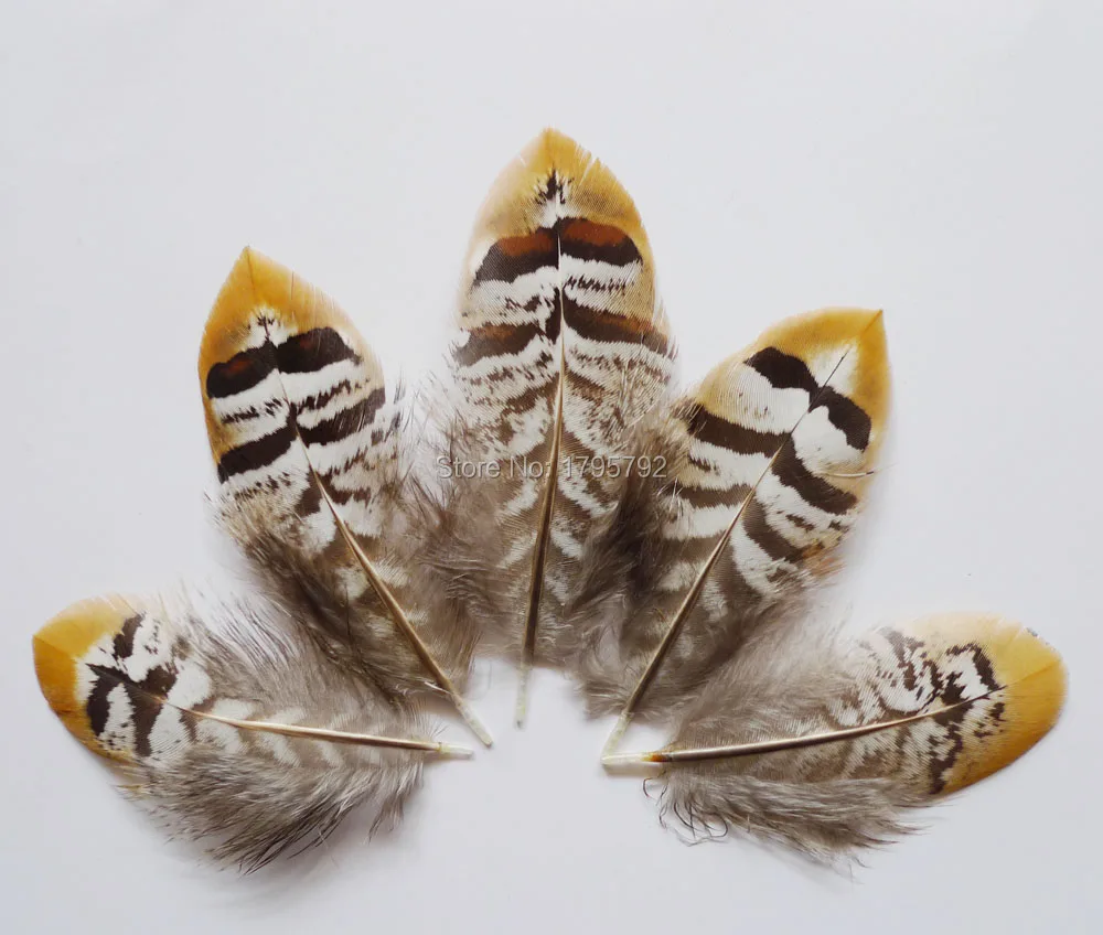 

Wholesale 100Pcs 5-10cm Natural Fly Tying Pheasant Chicken Feathers For DIY Crafts Mask Jewelry Accessories Making Decoration