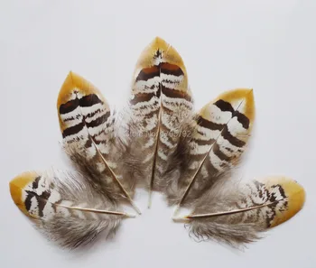 

Wholesale 100pcs 5-10 cm natural fly tying pheasant chicken feathers for DIY crafts mask Jewelry Accessories making decorations