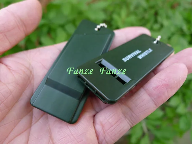 FZ (5)