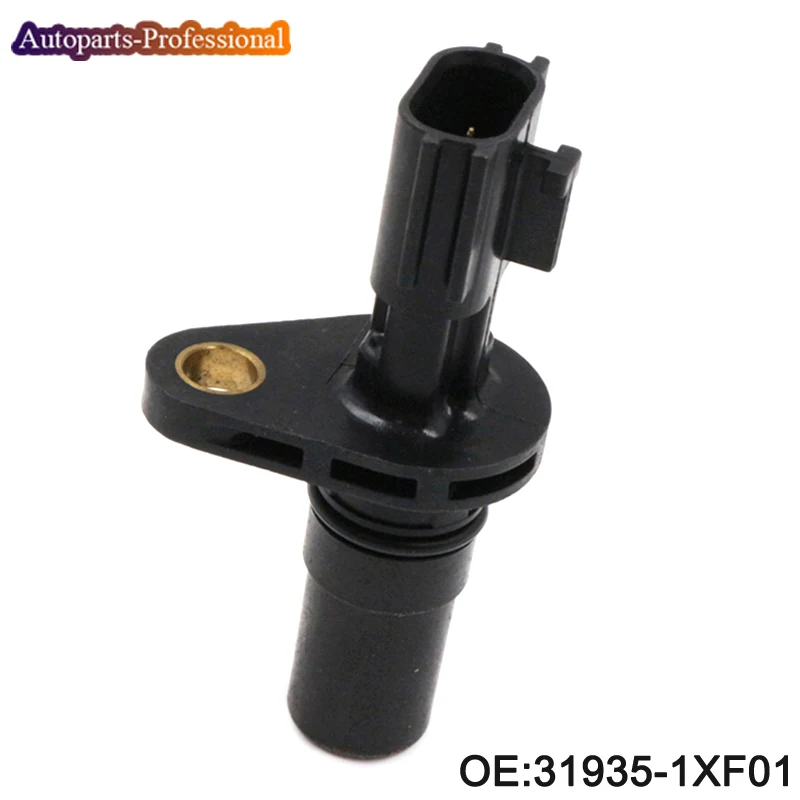 319351XF01 (5)