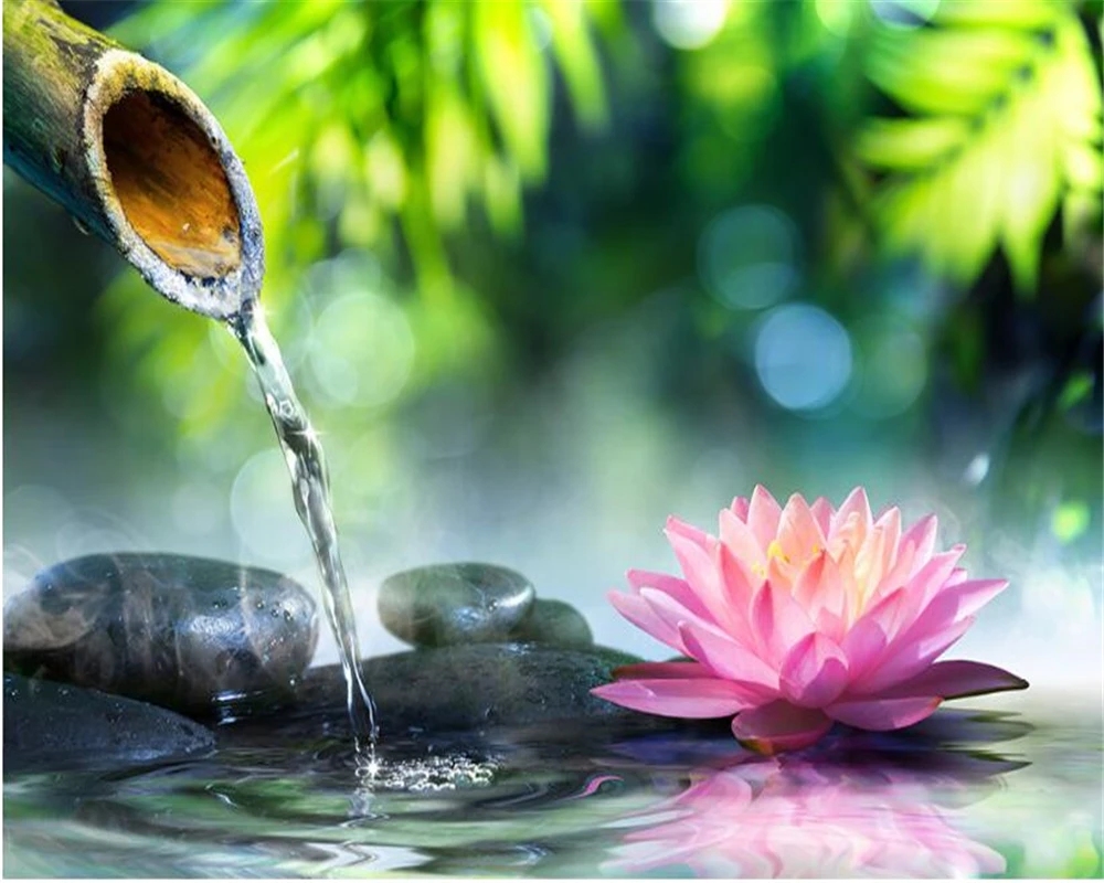 Download 6000 Wallpaper Bunga Segar HD Terbaik Download 6000 Wallpaper Bunga Segar HD Terbaik