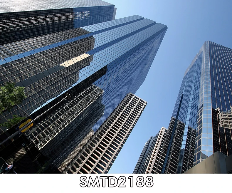 SMTD2188