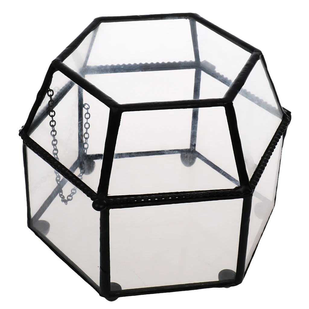 

Irregular Shape Glass Geometric Terrarium Box Tabletop Succulent Air Plant Planter Flower Pot Case
