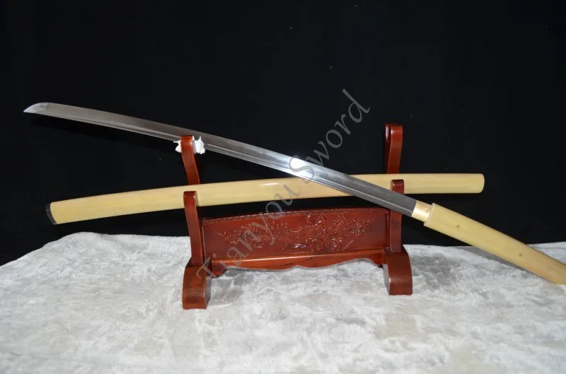 conew_dsc_0092