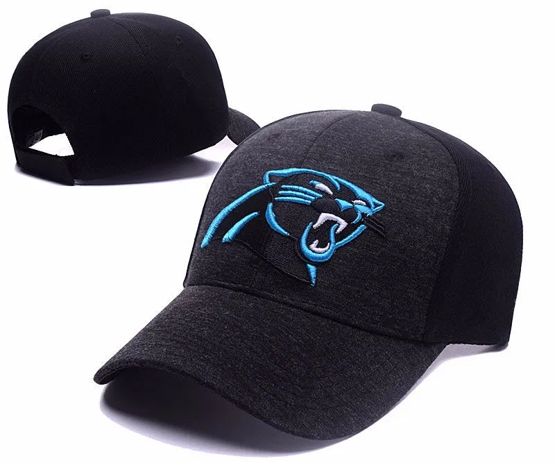 Carolina Panthers copy