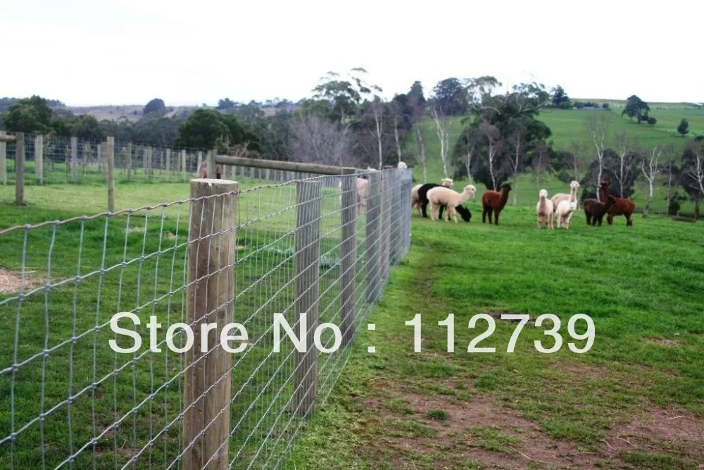 Barbed Wire Fencing Graniteside, Harare South, Harare, 43 OFF