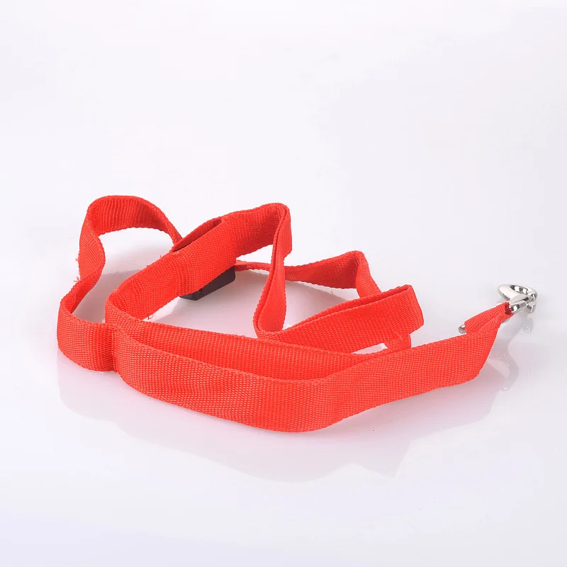 G10_120cm_Nylon_Pet_LED_Dog_Leash_Night_Safety_LED_Flashing_Glow_LED_Pet_Cat_Dogs_Drawing_Small_Leads_for_LED_Dog_Collar_ (14)
