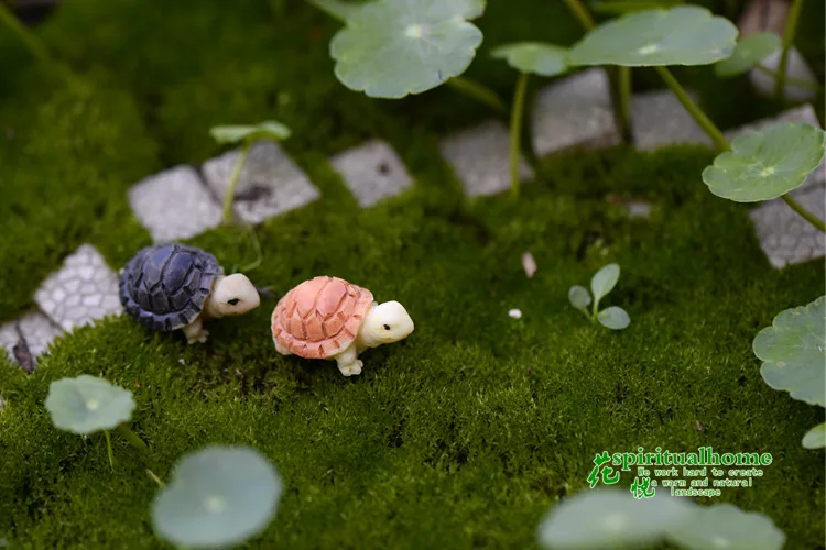 Ornaments Bryophyte Micro Landscape Meaty Plants Two Colored Small Turtles Tortoise Shells for Diy Home Decor Miniature Garden ornament crafts miniature figurines resin ornaments miniature ornament resin crafts