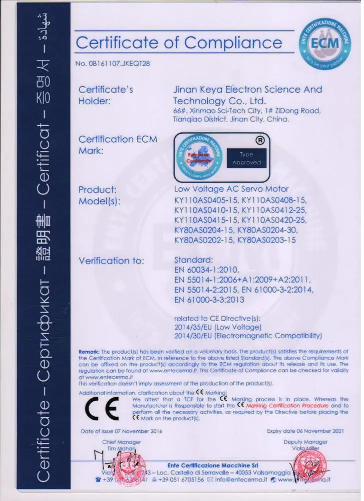 Низкая цена высокая эффективность низкое напряжение 24V 48V DC бесщеточный двигатель 200w с кодером