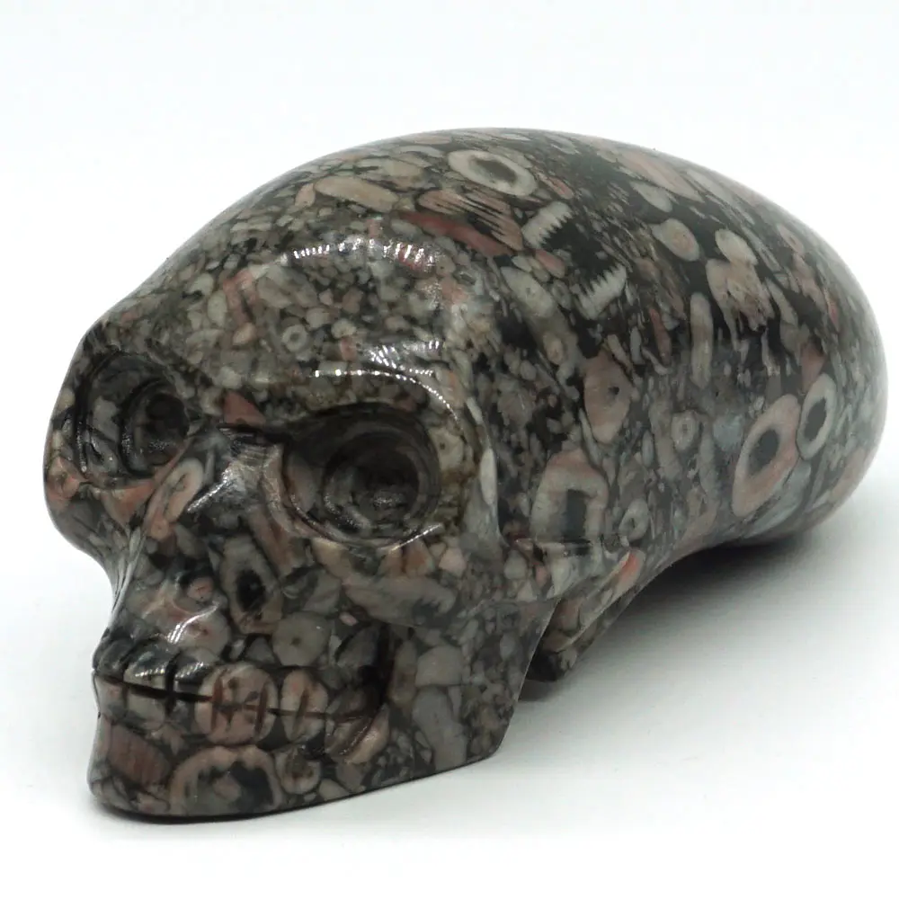 

3"Crinoid Fossil Jasper Skull Stone Carved Chakra Healing Reiki Feng Shui Skull Decorative Crafts Home Decor